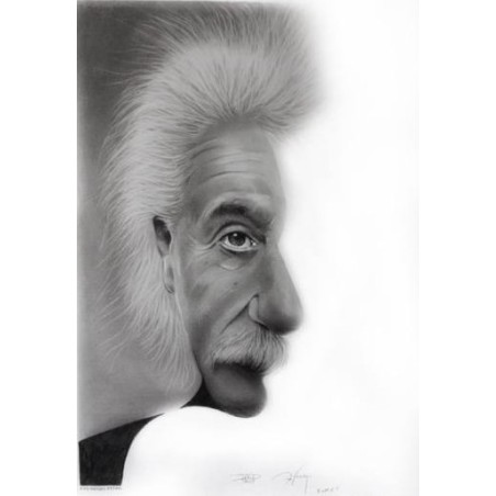 Portrait Albert Einstein - Double Face